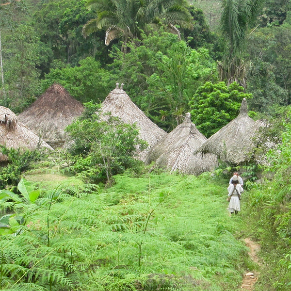 Matcha 57% Dark Chocolate