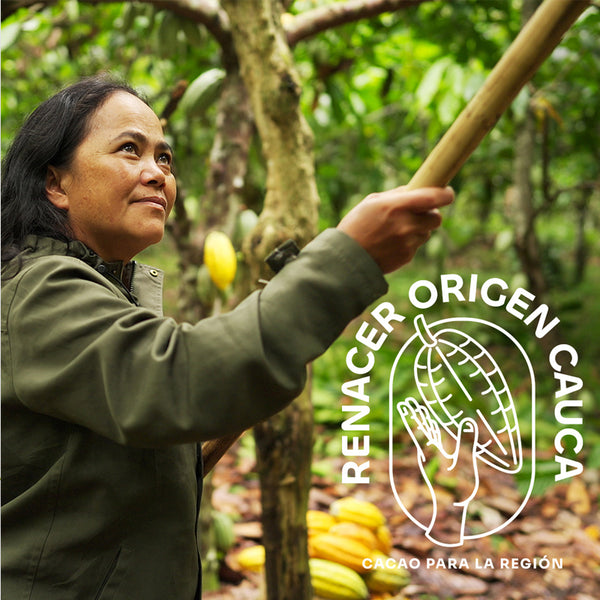 Popayan 64% (Colombia)