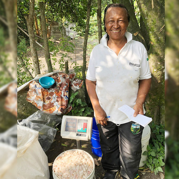 Popayan 64% (Colombia)