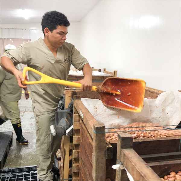 Popayan 64% (Colombia)